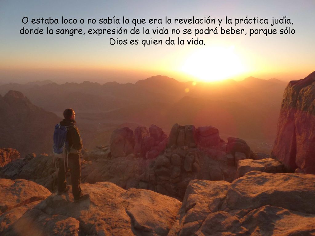 O estaba loco o no sabía lo que era la revelación y la práctica judía, donde la sangre, expresión de la vida no se podrá beber, porque sólo Dios es quien da la vida.