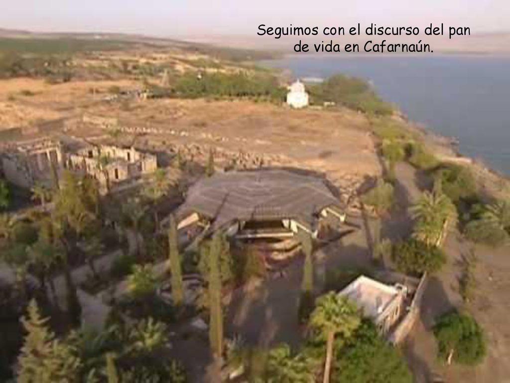 Seguimos con el discurso del pan de vida en Cafarnaún.