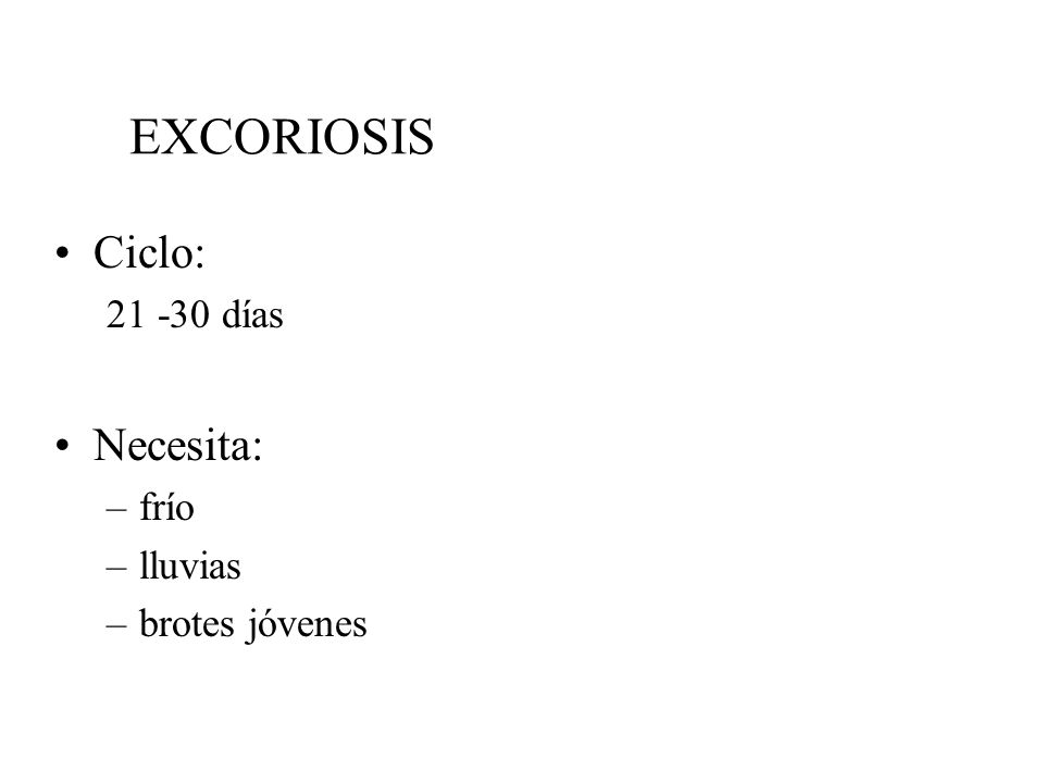 EXCORIOSIS Ciclo: días Necesita: frío lluvias brotes jóvenes