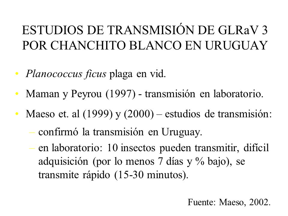 ESTUDIOS DE TRANSMISIÓN DE GLRaV 3 POR CHANCHITO BLANCO EN URUGUAY