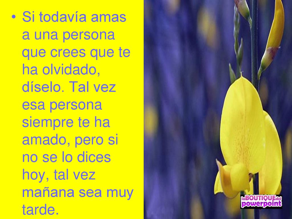 Si todavía amas a una persona que crees que te ha olvidado, díselo