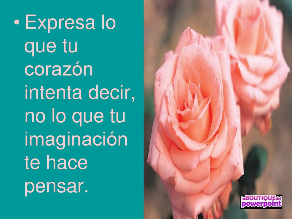 Expresa lo que tu corazón intenta decir, no lo que tu imaginación te hace pensar.