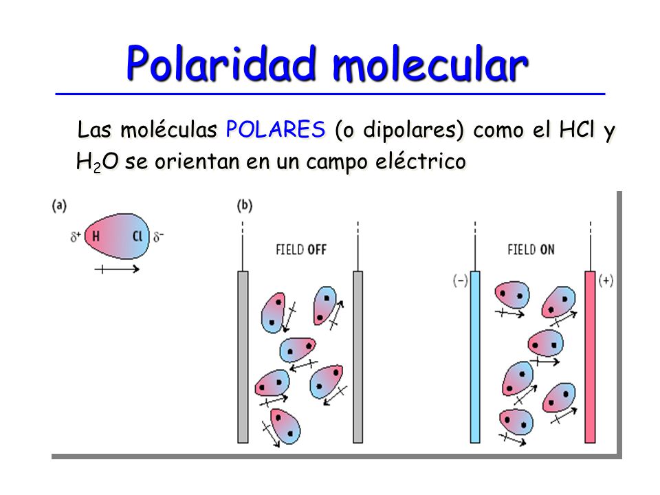 Polaridad molecular Las moléculas POLARES (o dipolares) como el HCl y H2O se orientan en un campo eléctrico.