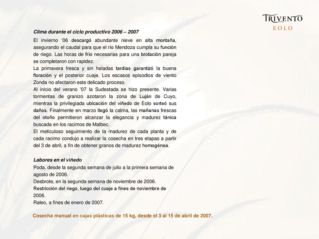 Clima durante el ciclo productivo 2006 – 2007
