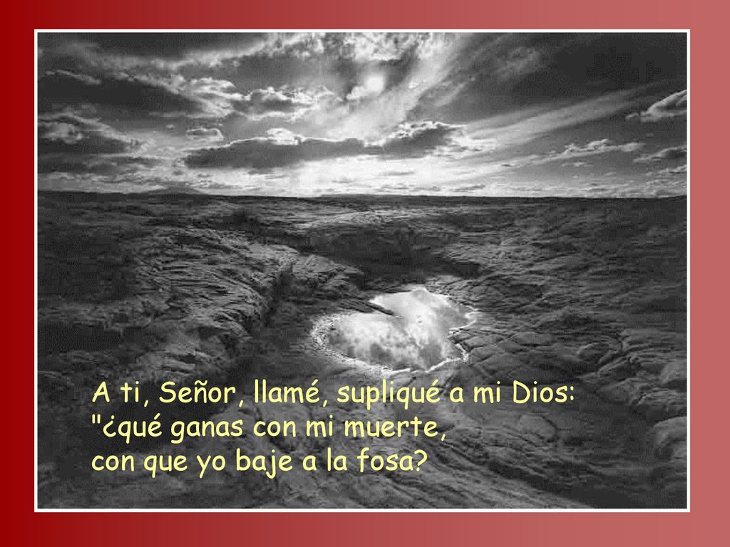A ti, Señor, llamé, supliqué a mi Dios: ¿qué ganas con mi muerte, con que yo baje a la fosa