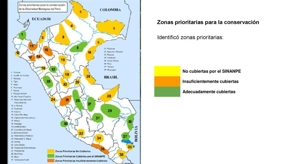 Zonas prioritarias para la conservación Identificó zonas prioritarias: