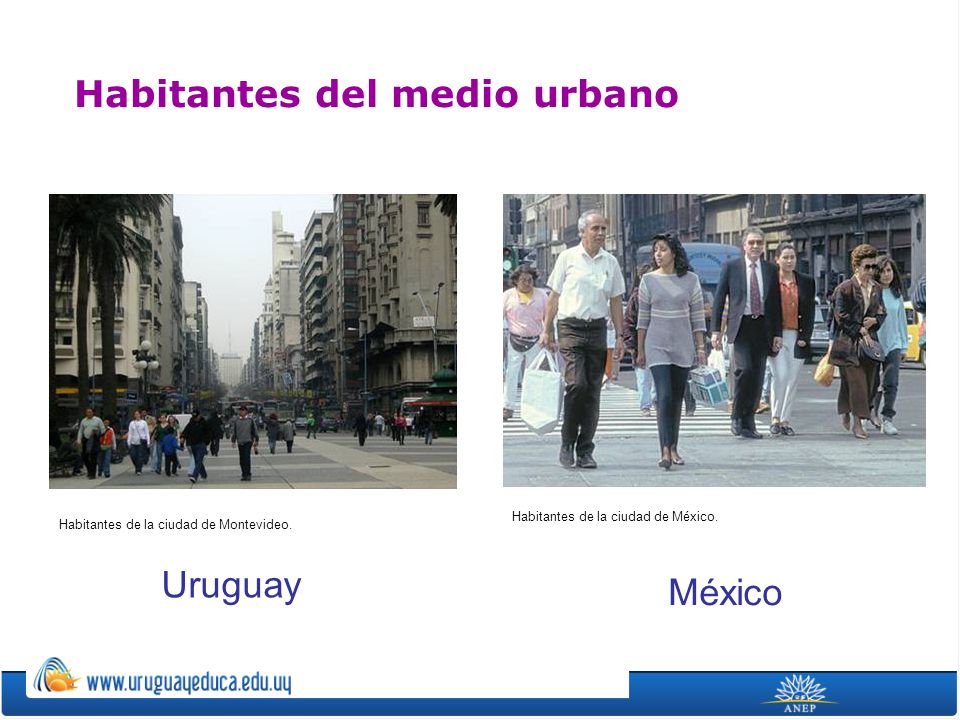Habitantes del medio urbano