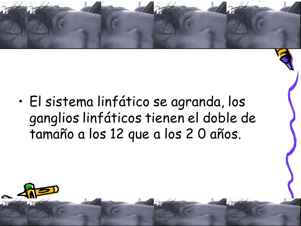 El sistema linfático se agranda, los ganglios linfáticos tienen el doble de tamaño a los 12 que a los 2 0 años.