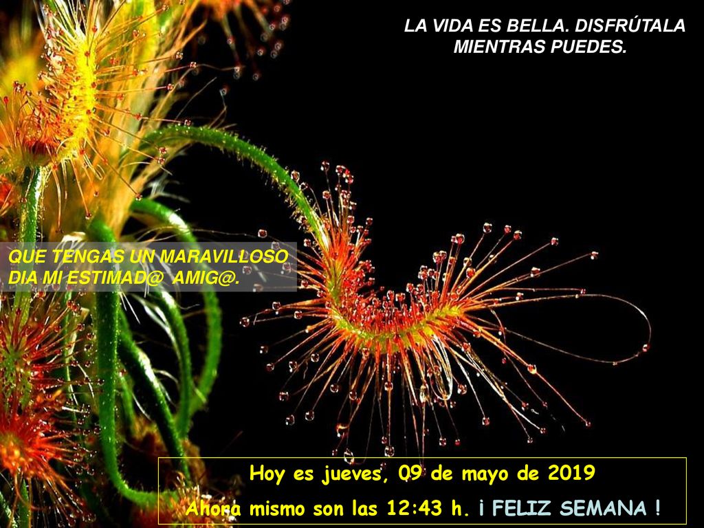 Ahora mismo son las 12:43 h. ¡ FELIZ SEMANA !
