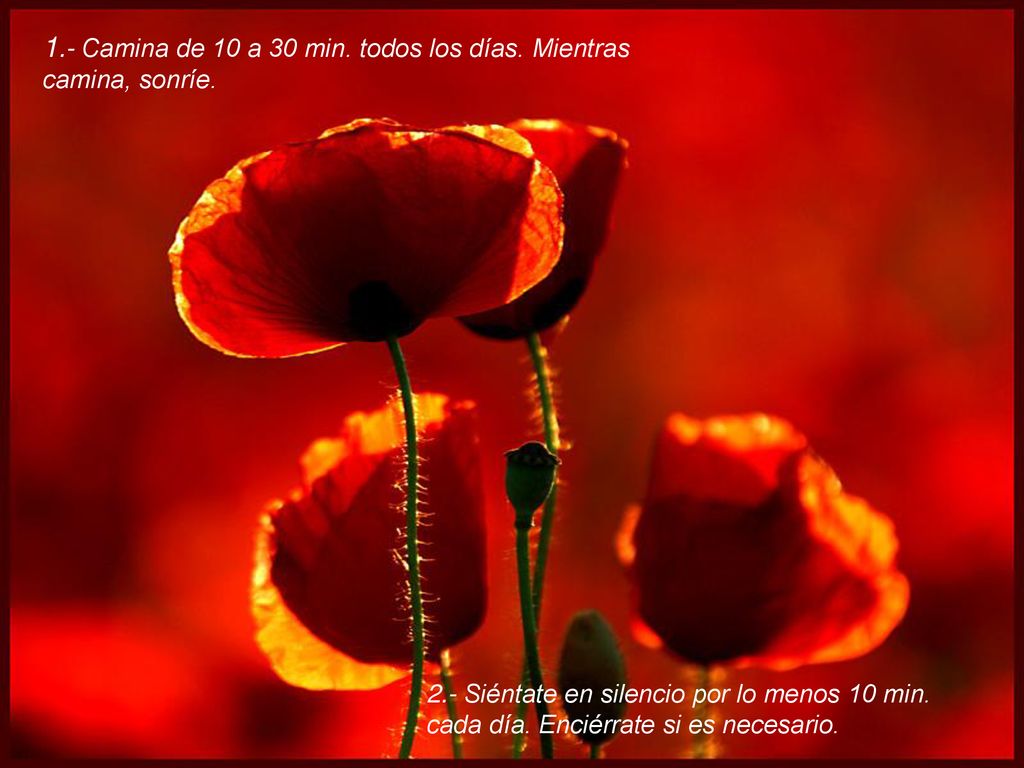 1.- Camina de 10 a 30 min. todos los días. Mientras camina, sonríe.