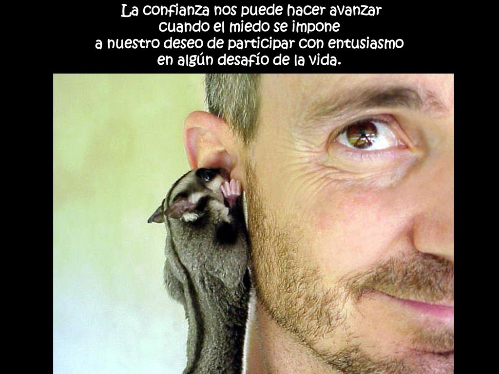 La confianza nos puede hacer avanzar cuando el miedo se impone