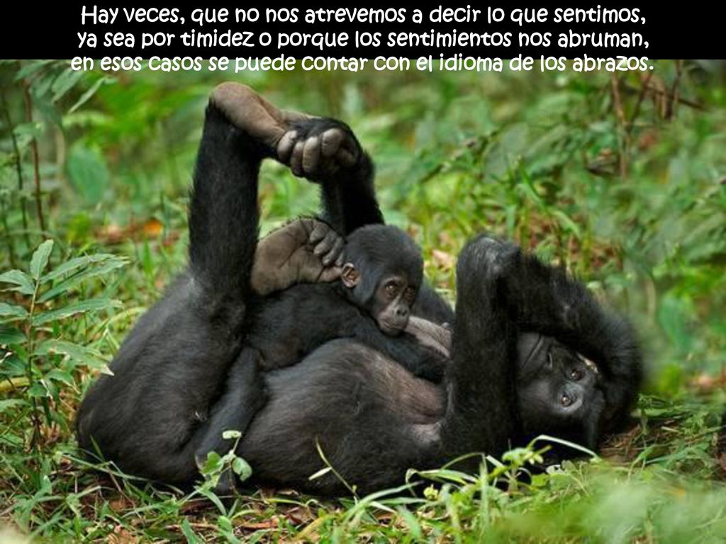Hay veces, que no nos atrevemos a decir lo que sentimos,