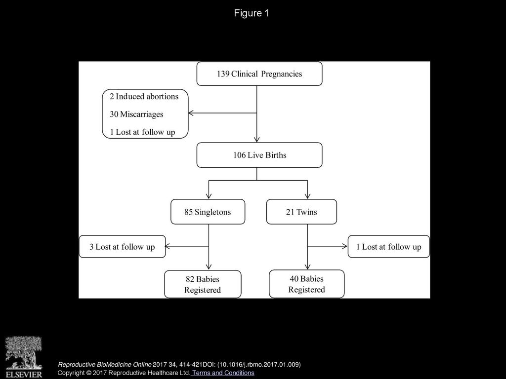 Figure 1 Flow chart of clinical pregnancies included in this study.