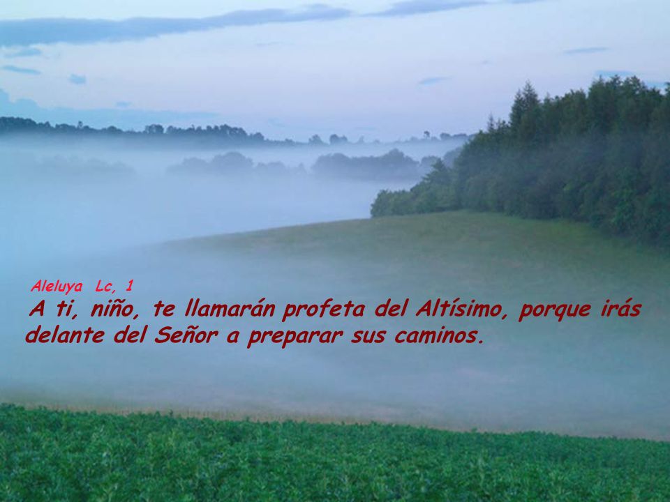 Aleluya Lc, 1 A ti, niño, te llamarán profeta del Altísimo, porque irás delante del Señor a preparar sus caminos.