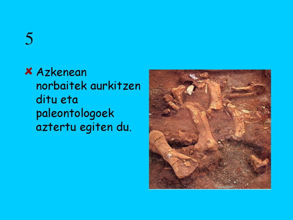5 Azkenean norbaitek aurkitzen ditu eta paleontologoek aztertu egiten du.