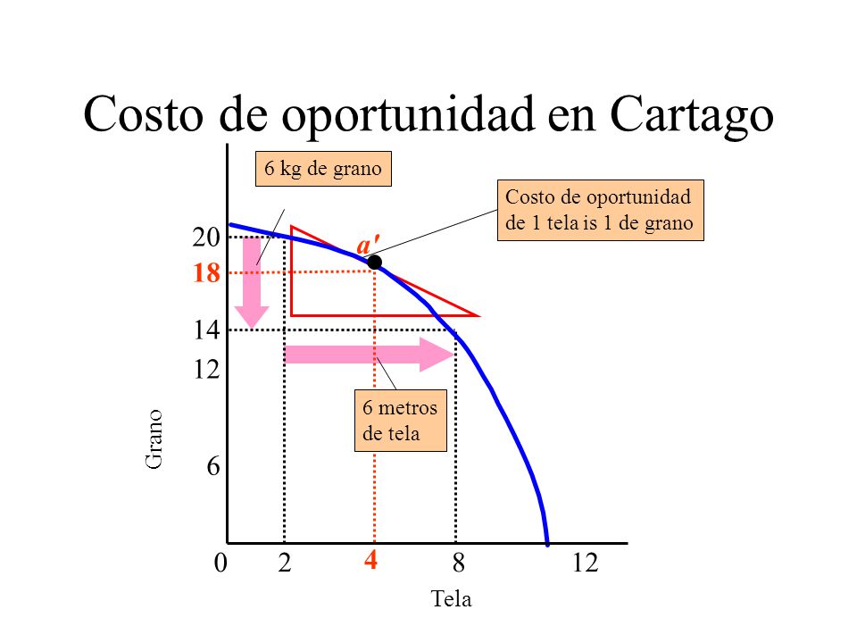 Costo de oportunidad en Cartago