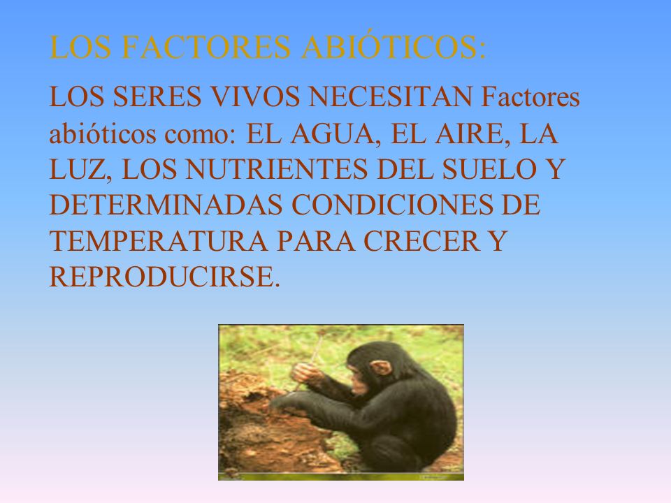 LOS FACTORES ABIÓTICOS: