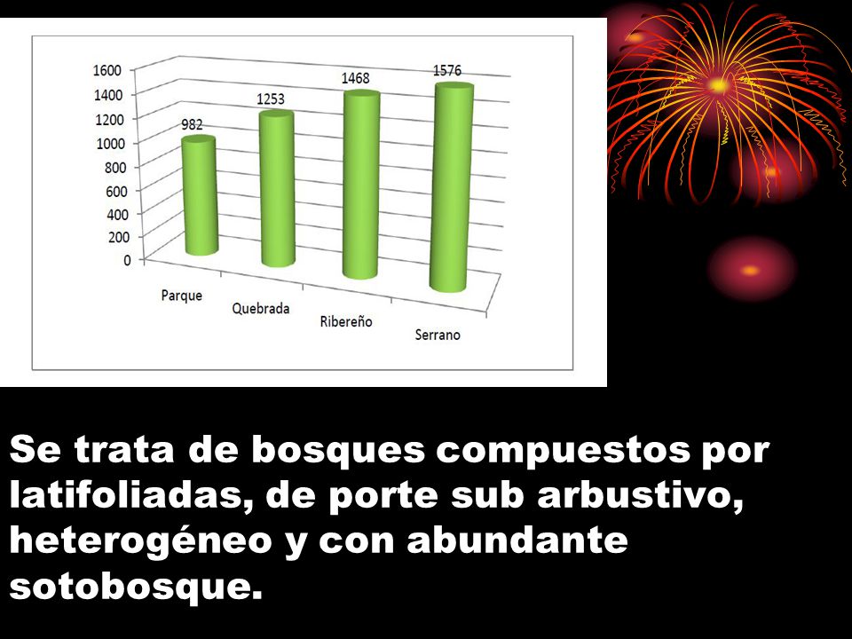 Se trata de bosques compuestos por latifoliadas, de porte sub arbustivo, heterogéneo y con abundante sotobosque.