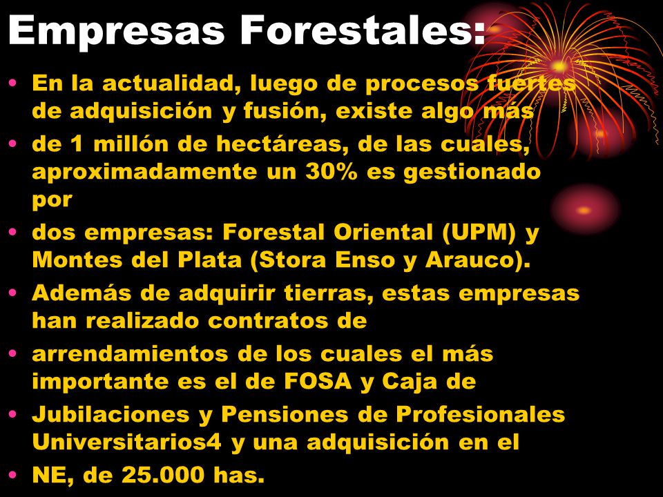 Empresas Forestales: En la actualidad, luego de procesos fuertes de adquisición y fusión, existe algo más.