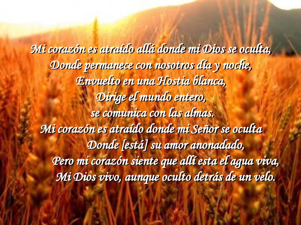 Mi corazón es atraído allá donde mi Dios se oculta,