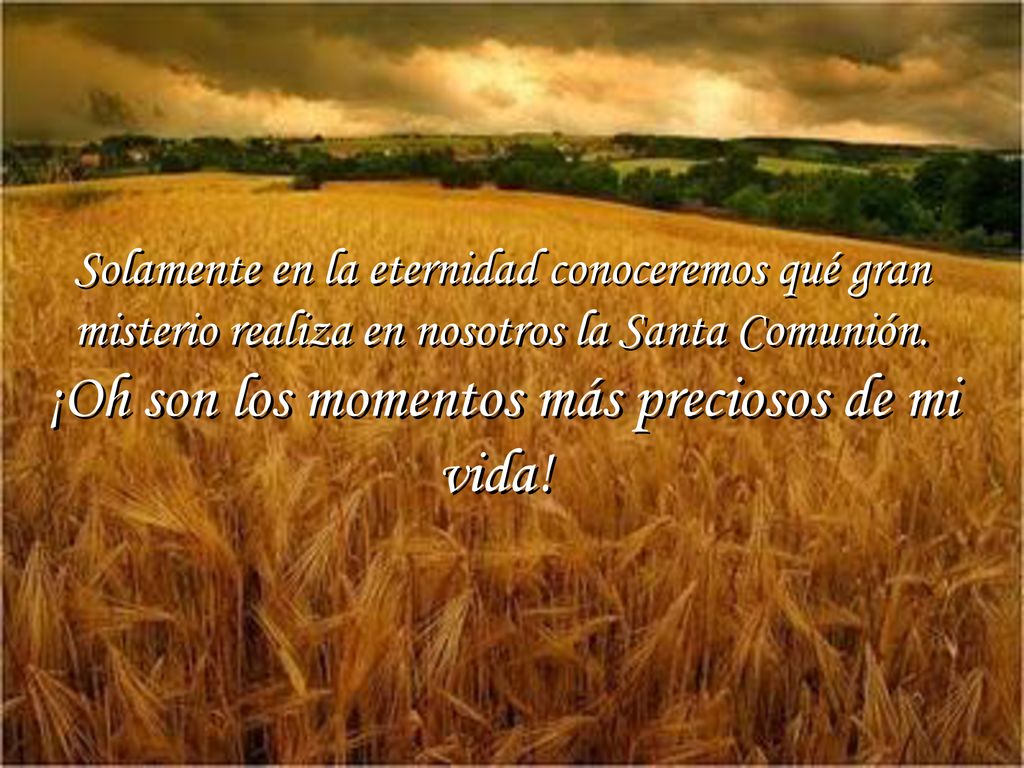 Solamente en la eternidad conoceremos qué gran misterio realiza en nosotros la Santa Comunión.