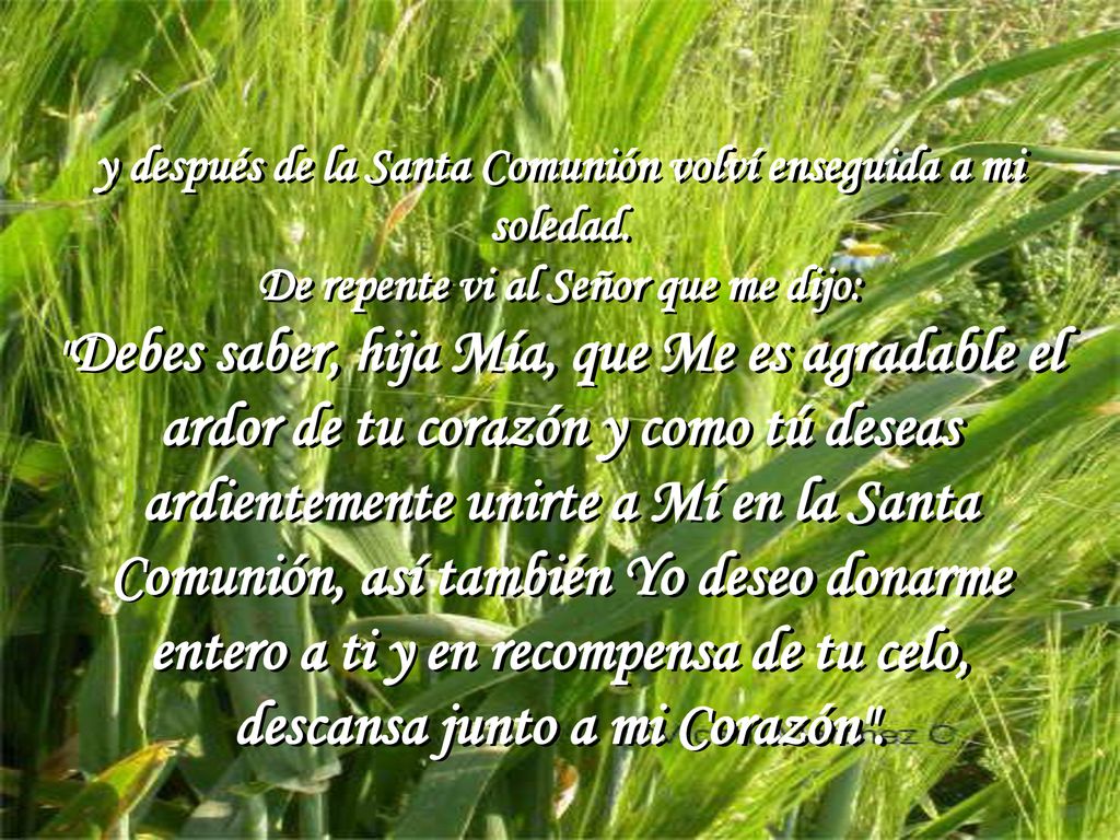 y después de la Santa Comunión volví enseguida a mi soledad.