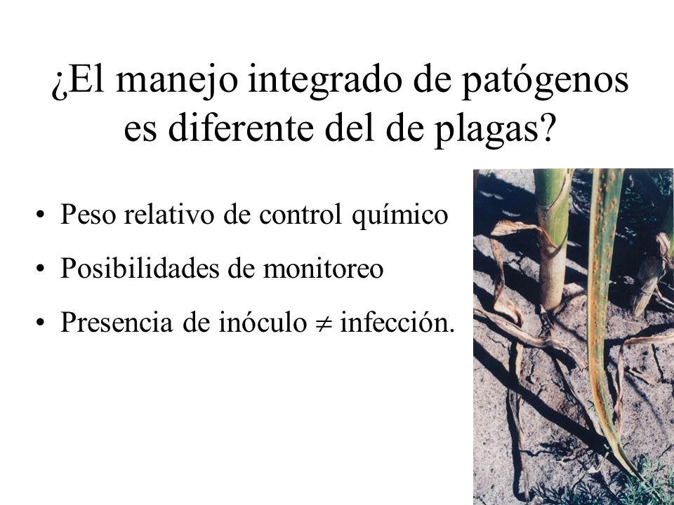 ¿El manejo integrado de patógenos es diferente del de plagas