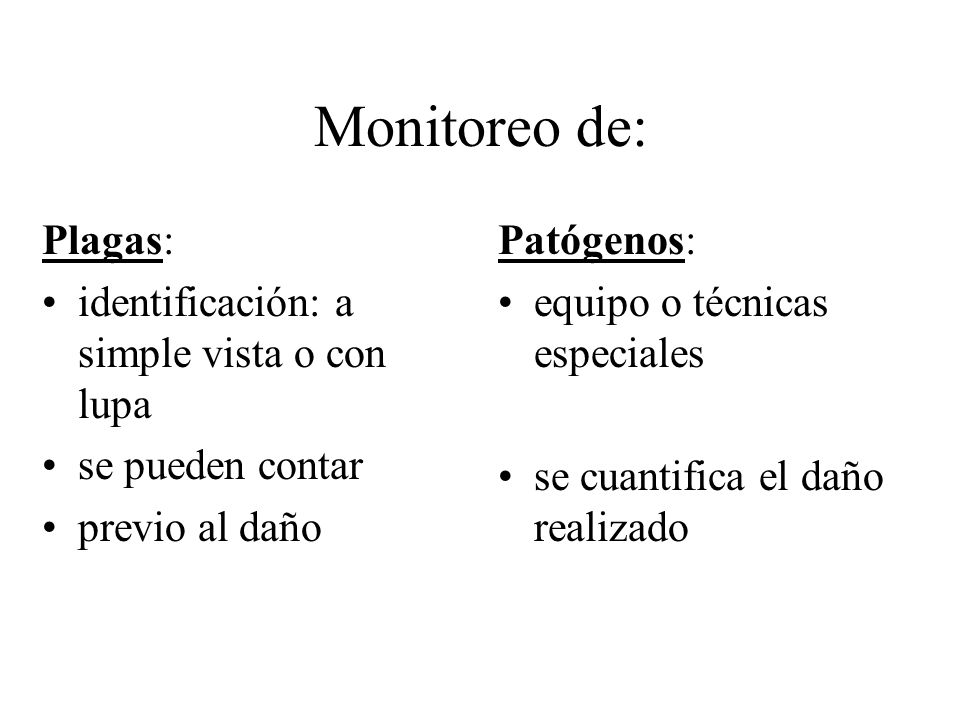 Monitoreo de: Plagas: identificación: a simple vista o con lupa