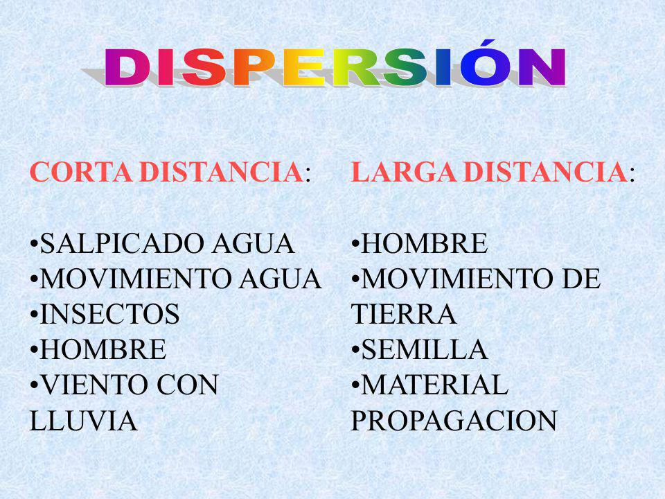 DISPERSIÓN CORTA DISTANCIA: SALPICADO AGUA MOVIMIENTO AGUA INSECTOS