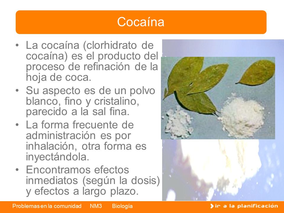 Cocaína La cocaína (clorhidrato de cocaína) es el producto del proceso de refinación de la hoja de coca.