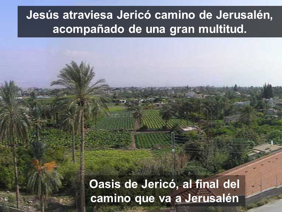 Oasis de Jericó, al final del camino que va a Jerusalén