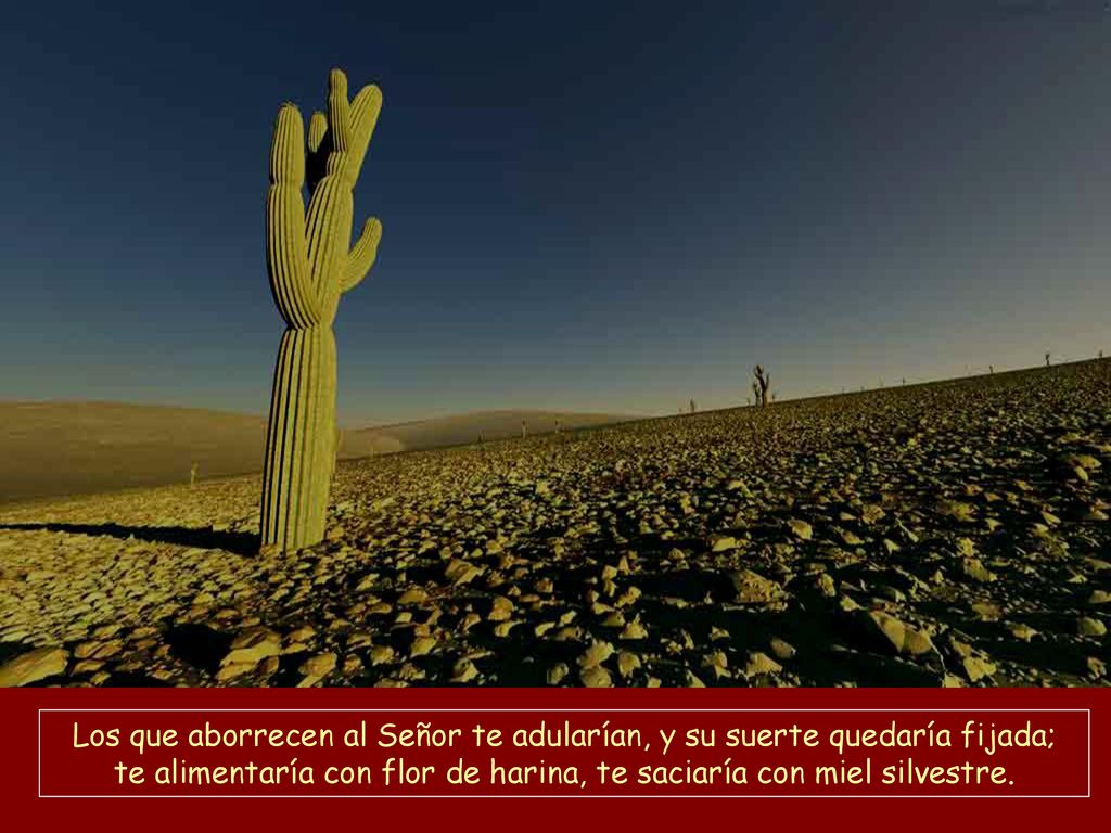 Los que aborrecen al Señor te adularían, y su suerte quedaría fijada; te alimentaría con flor de harina, te saciaría con miel silvestre.