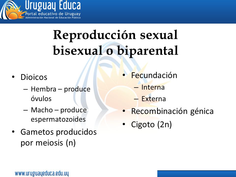Reproducción sexual bisexual o biparental