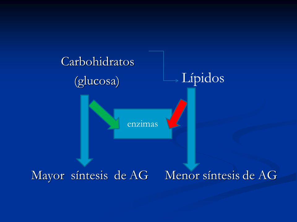 Carbohidratos (glucosa) Mayor síntesis de AG Menor síntesis de AG