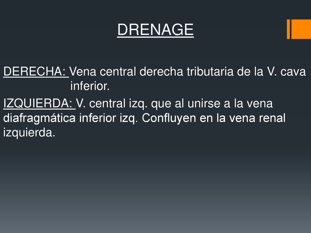 DRENAGE DERECHA: Vena central derecha tributaria de la V. cava inferior.