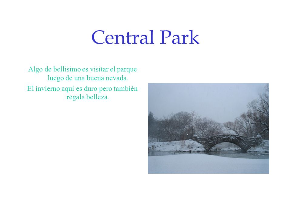 Central Park Algo de bellisimo es visitar el parque luego de una buena nevada.