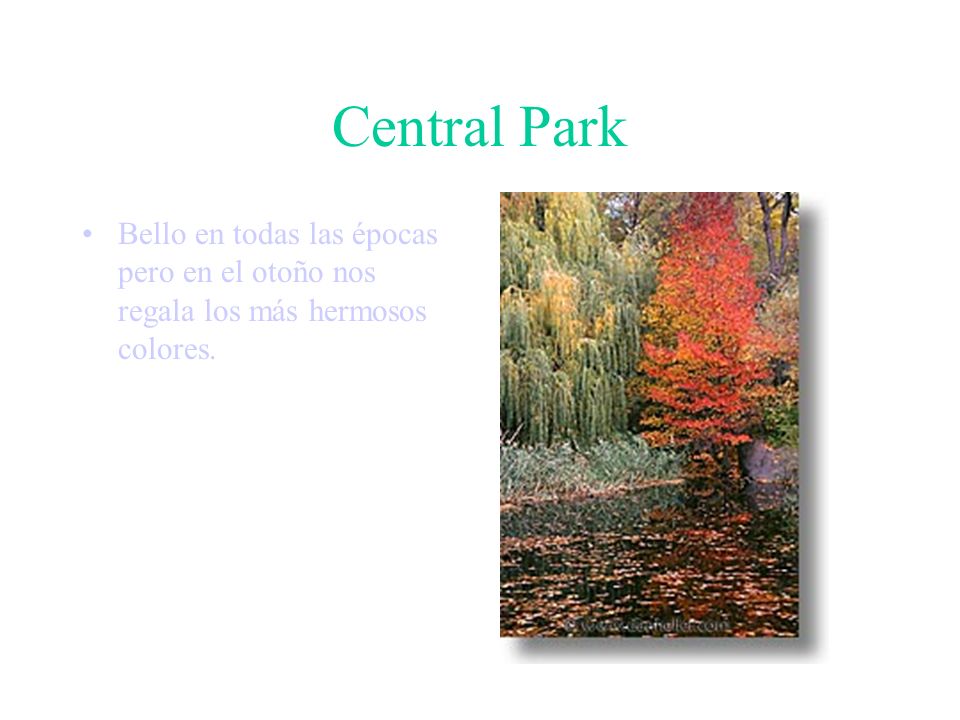 Central Park Bello en todas las épocas pero en el otoño nos regala los más hermosos colores.