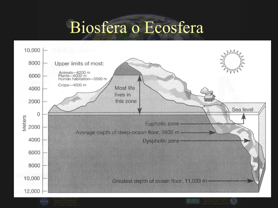 Biosfera o Ecosfera