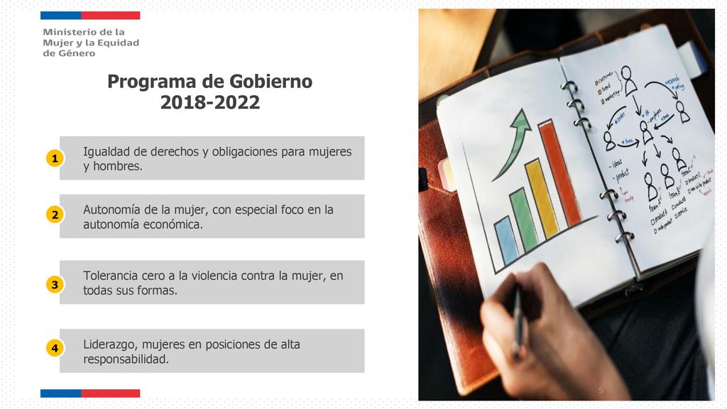 Programa de Gobierno Igualdad de derechos y obligaciones para mujeres y hombres. 1.