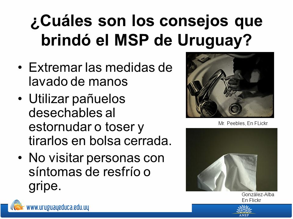 ¿Cuáles son los consejos que brindó el MSP de Uruguay