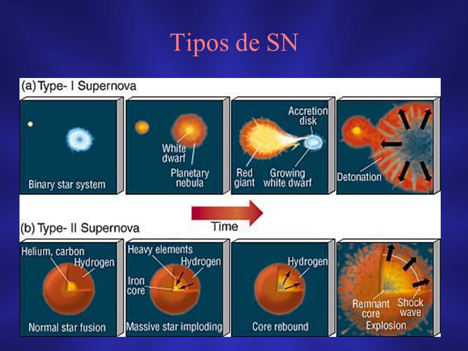 Tipos de SN