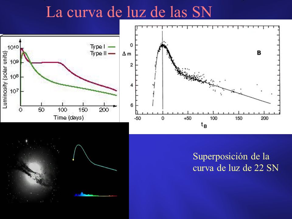 La curva de luz de las SN Superposición de la curva de luz de 22 SN