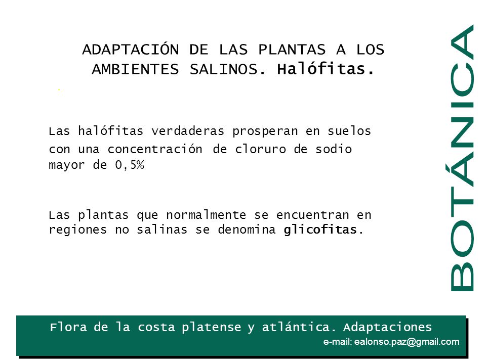 BOTÁNICA ADAPTACIÓN DE LAS PLANTAS A LOS AMBIENTES SALINOS. Halófitas.