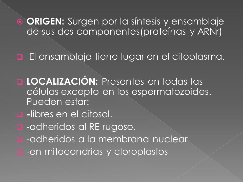 ORIGEN: Surgen por la síntesis y ensamblaje de sus dos componentes(proteínas y ARNr)