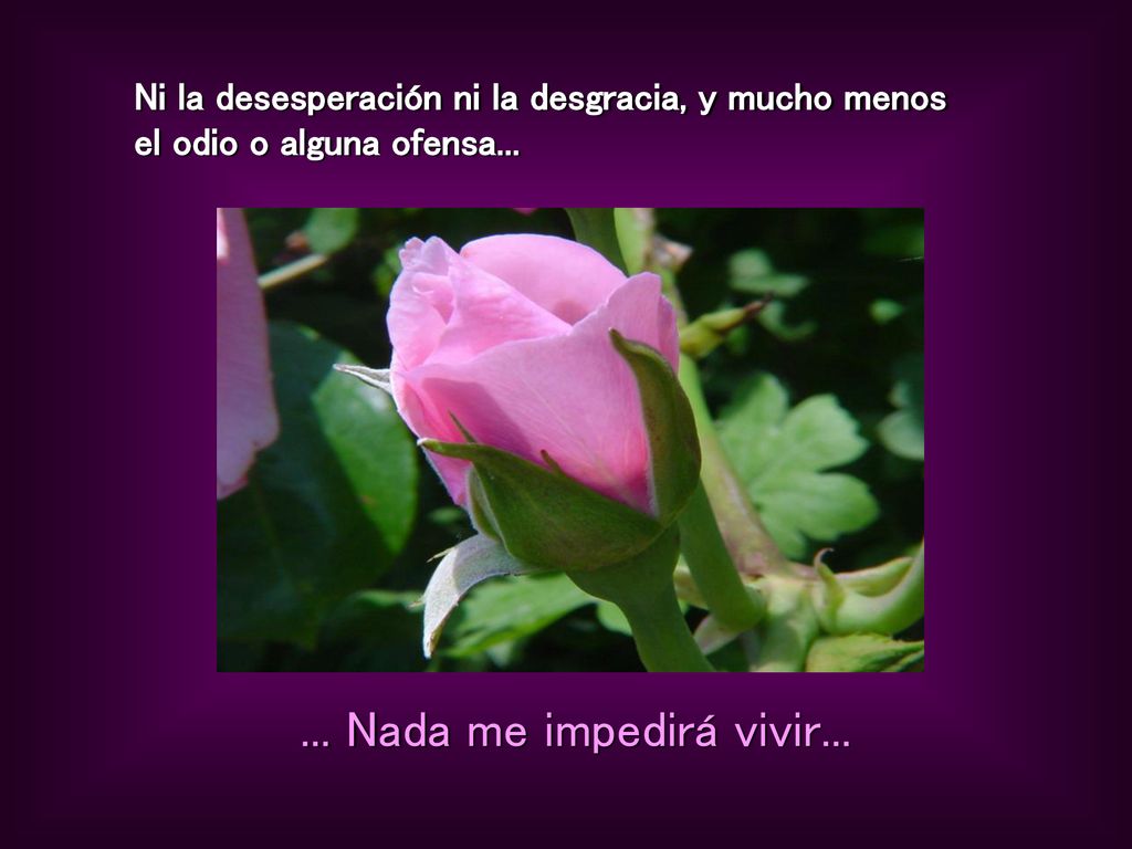 Ni la desesperación ni la desgracia, y mucho menos el odio o alguna ofensa...