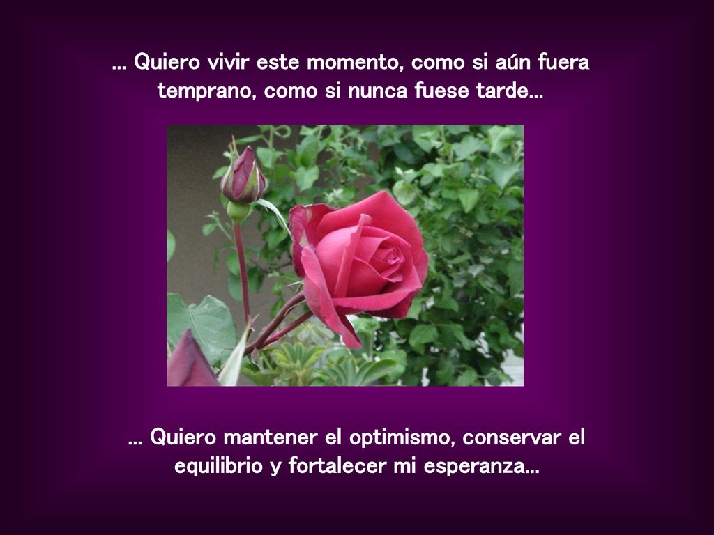 ... Quiero vivir este momento, como si aún fuera temprano, como si nunca fuese tarde...