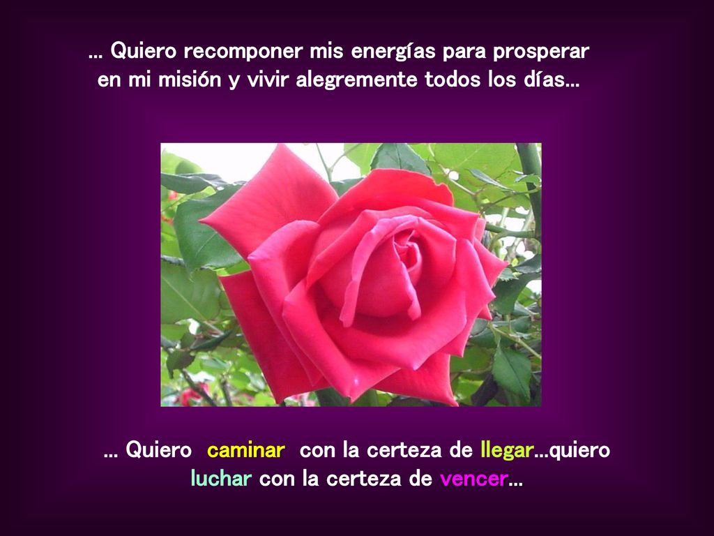 ... Quiero recomponer mis energías para prosperar en mi misión y vivir alegremente todos los días...