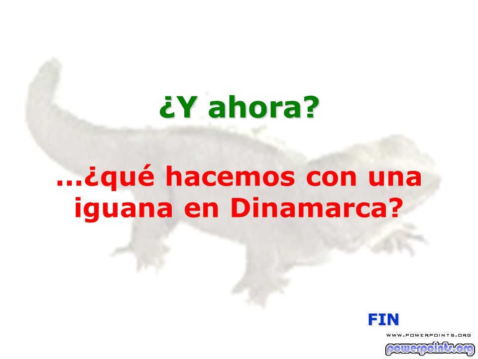 ¿Y ahora ...¿qué hacemos con una iguana en Dinamarca