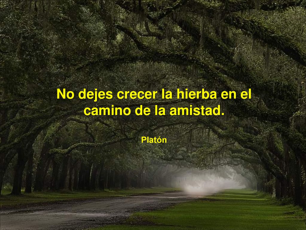 No dejes crecer la hierba en el camino de la amistad.