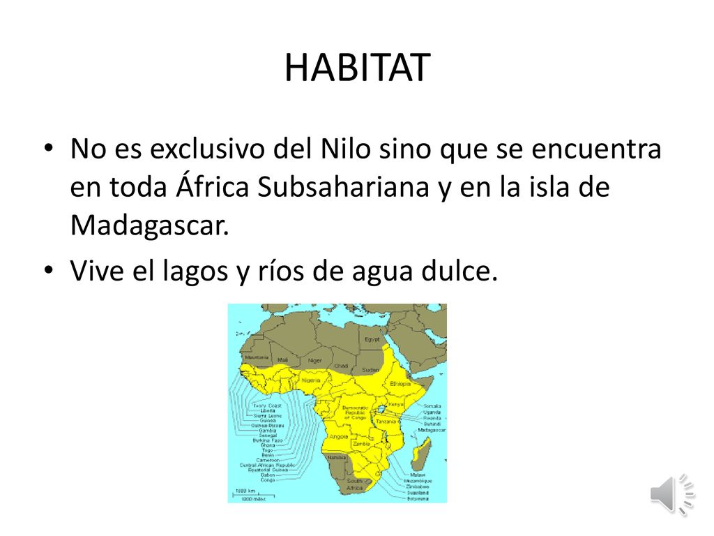 HABITAT No es exclusivo del Nilo sino que se encuentra en toda África Subsahariana y en la isla de Madagascar.